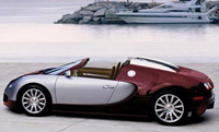 Bugatti Veyron Targa