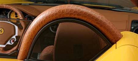 Leather Snake Skin F430
