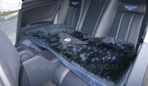 Must-Have Doggie Mat for Your Bentley