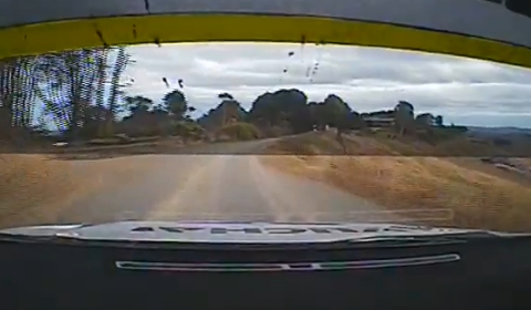 Video Rally Driver Crashes After Fan ’Moons’ Him