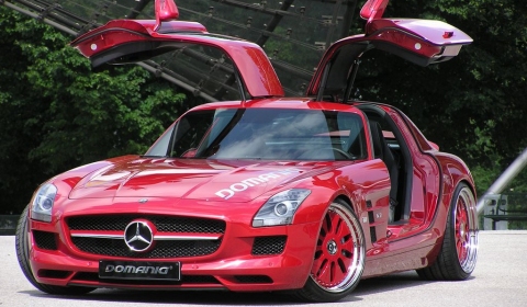 Overkill Mercedes-Benz SLS AMG by Domanig