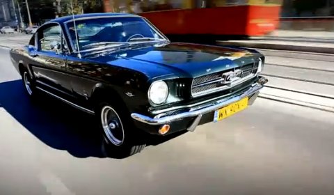 Video Mustang Club of Poland Organizes Mustang Race 2011