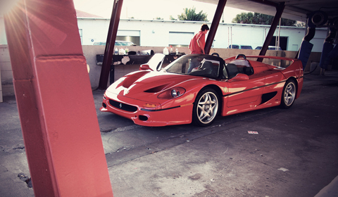 Ferrari F50 Detail