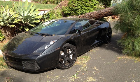 Lamborghini Gallardo Crushed by Tree