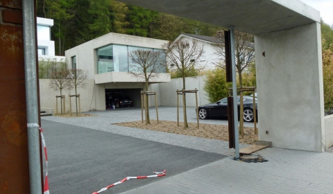 German Owner Soho Automobile Shot Dead in Luxury Villa