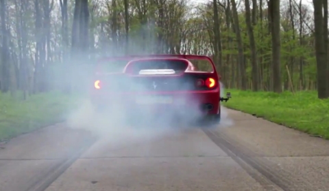 Video Ferrari F50 Burnout & Donut