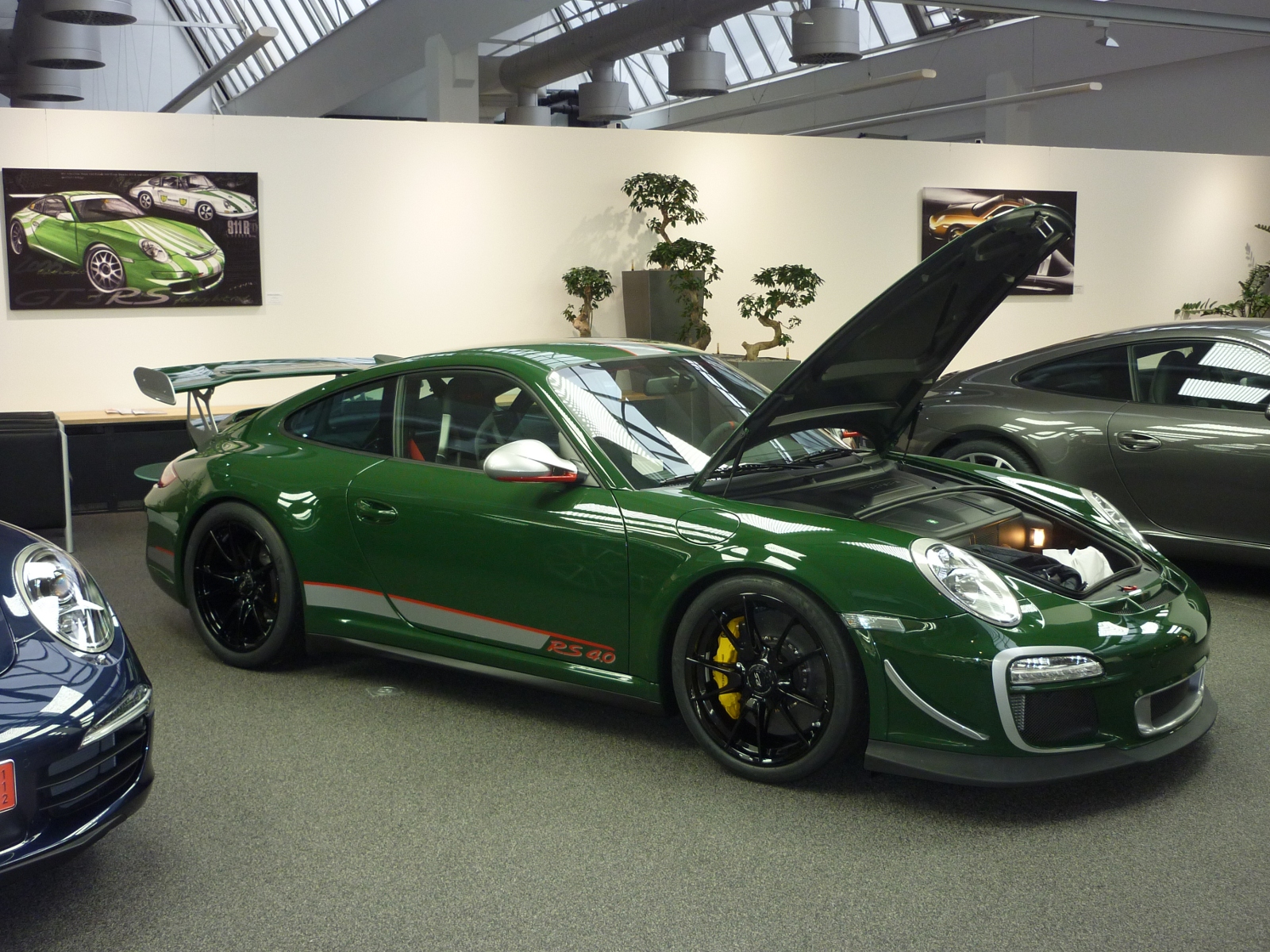 Краска Porsche
