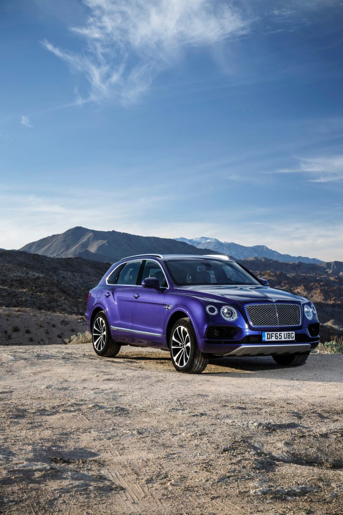 Purple Bentley