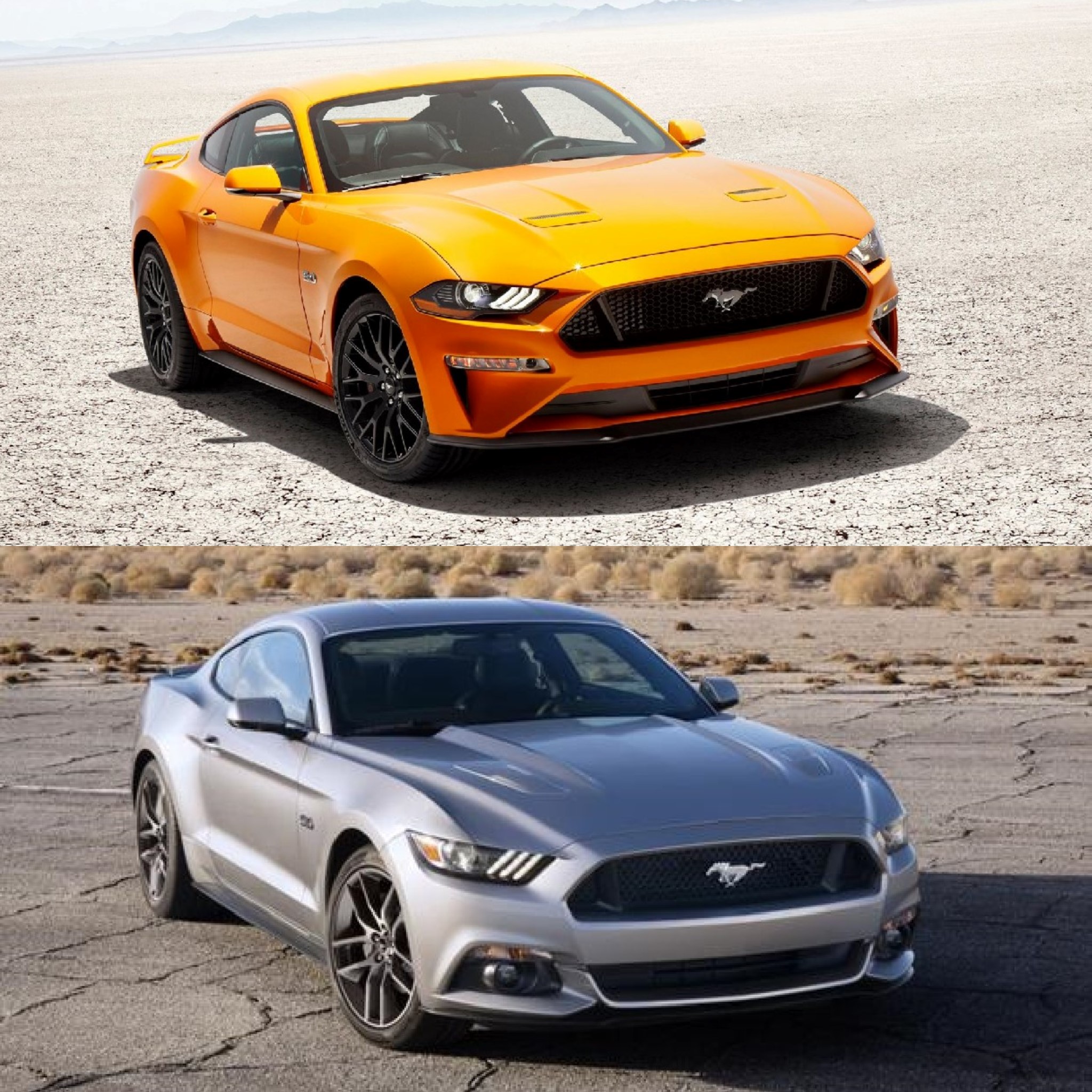 Ford Mustang 2018 Vinyl