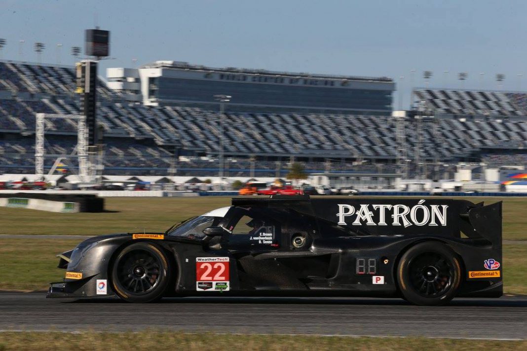 Daytona Escorts